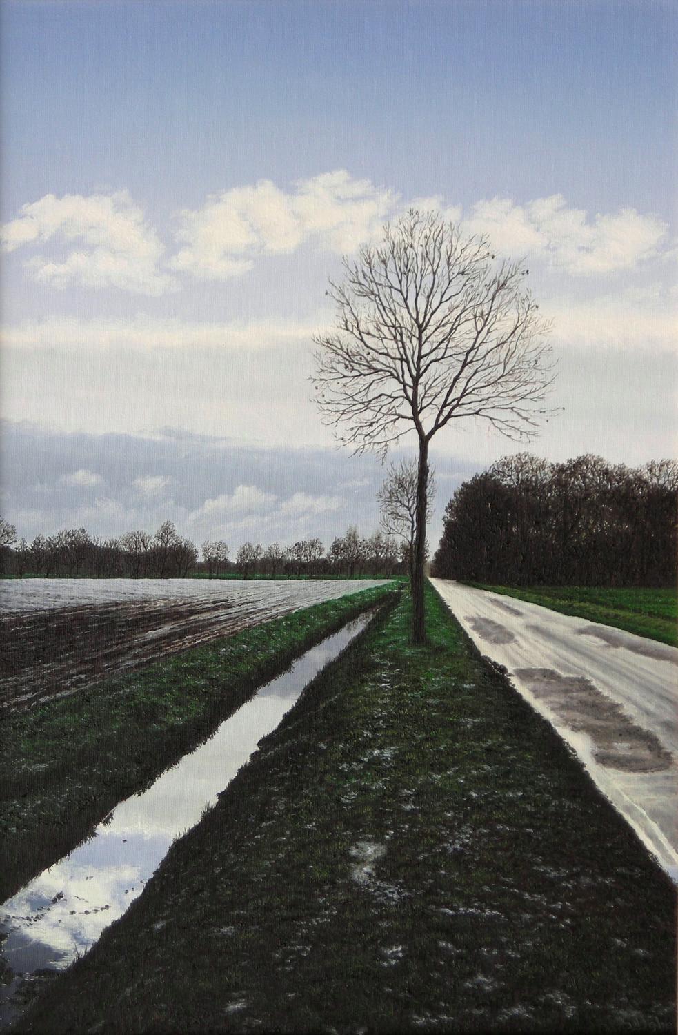 Münsterlandschaften Bild 4