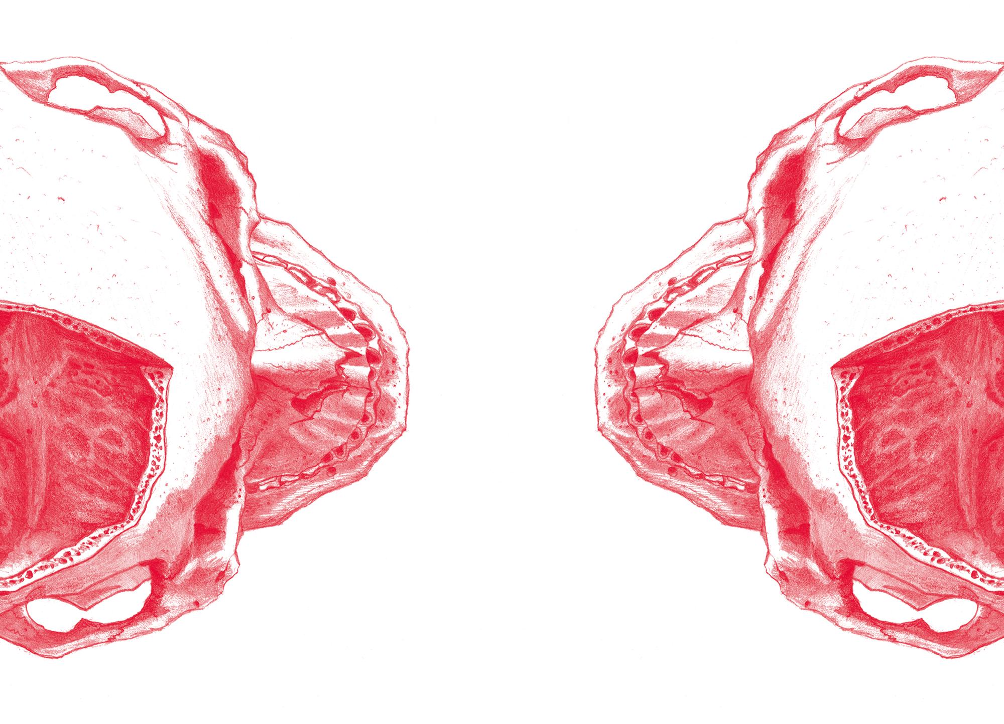 Theaterprojekt DRANGWERK Bild GRENZE, DIE